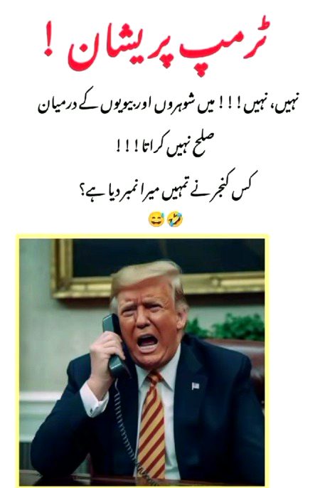 Memes & Satire image