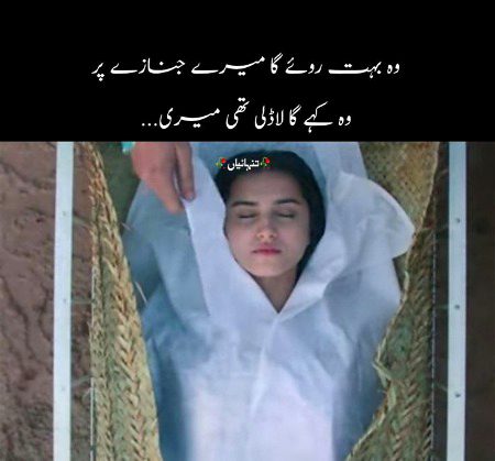 Sad Poetry image