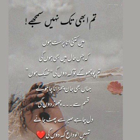 Suspense Novels image