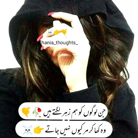 Attitude Poetry image