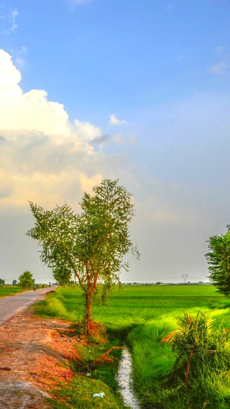 Beautiful Nature image