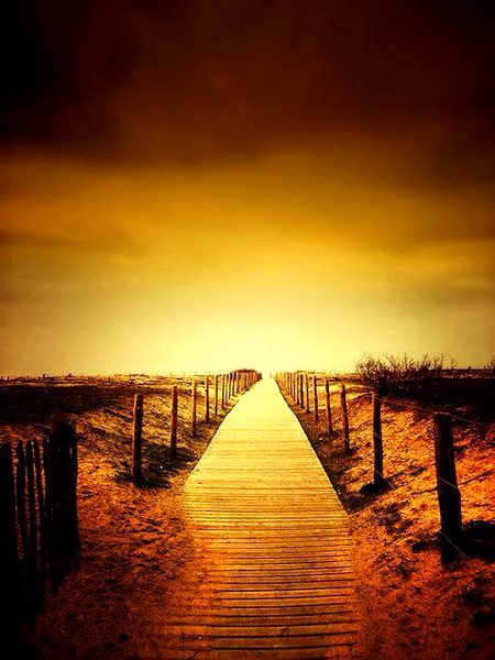 Beautiful Nature image
