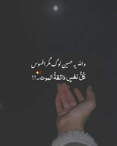 No Caption 🌺🌺🌺