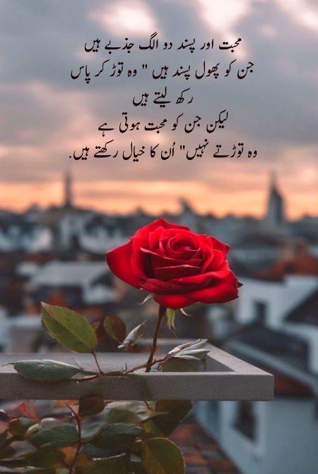 Saanaam ❣️❣️ blkl jsy m tmhara q k tm b 1 phoolo ho