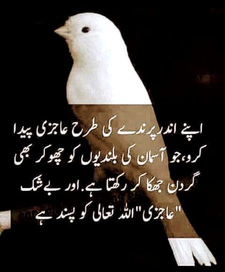 Life Advice image