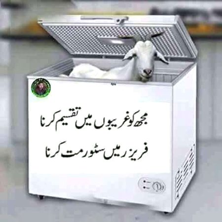 Memes & Satire image