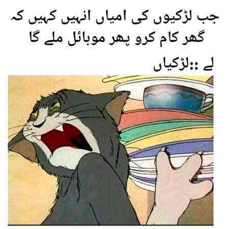 Memes & Satire image