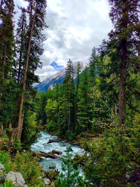 Beautiful Nature image