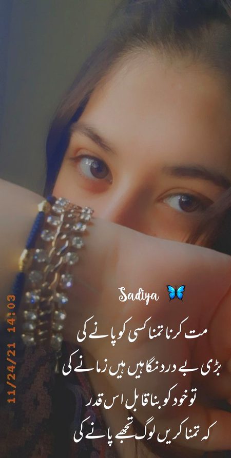 Shibra ✨