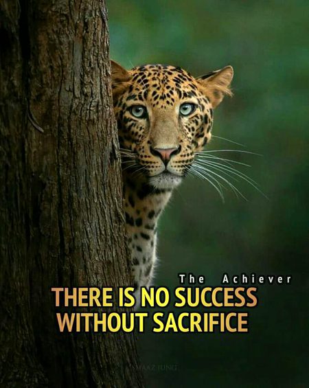 There are no success with out sacrifice.