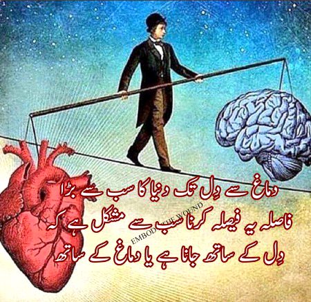Life Advice image