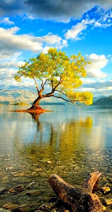 Beautiful Nature image