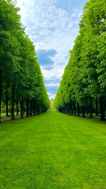 Beautiful Nature image