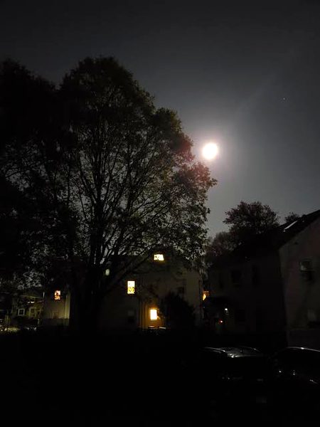 Beautiful Nature image