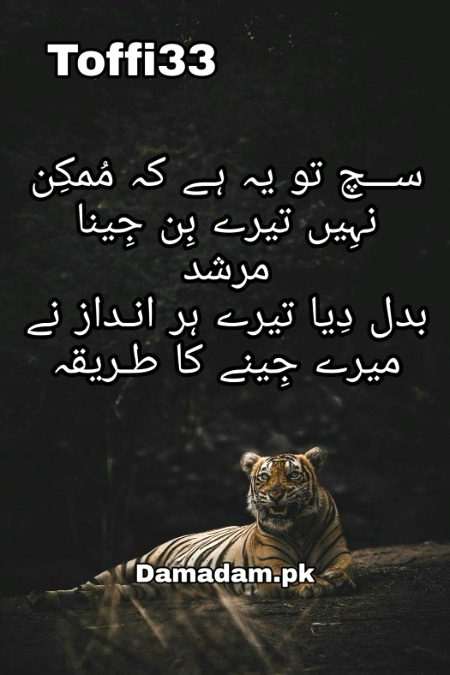 Romantic Poetry image