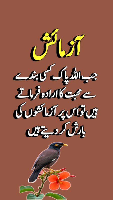 Islamic Quotes image