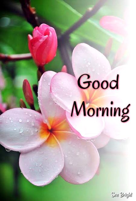 Beautiful Nature image