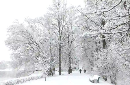 Beautiful Nature image