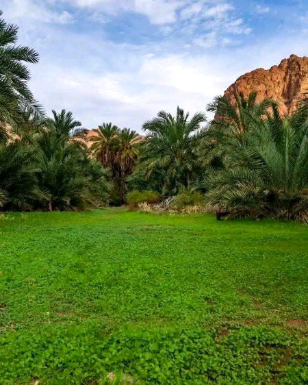 Beautiful Nature image