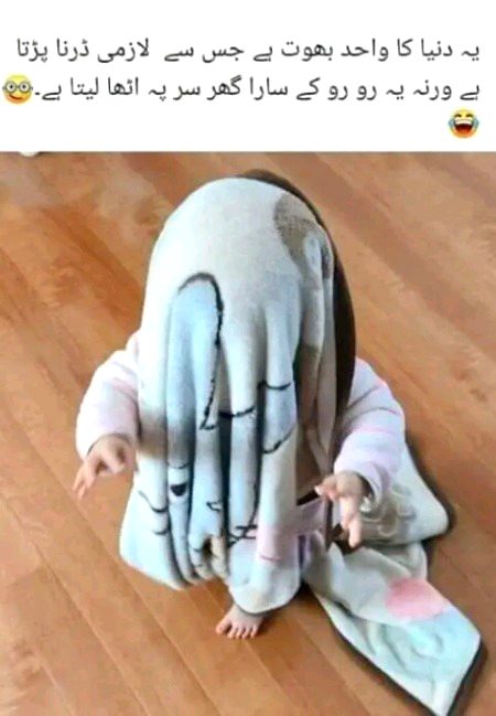Memes & Satire image