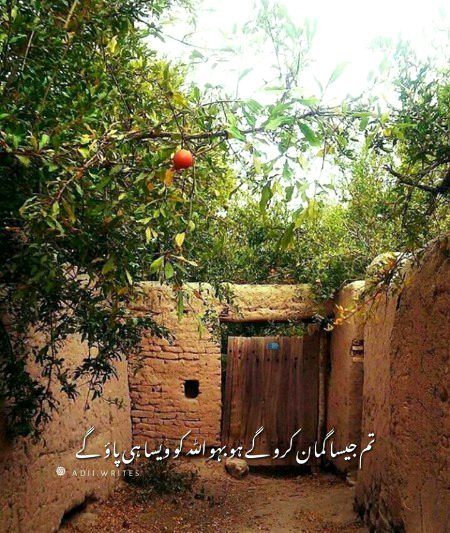 Islamic Quotes image