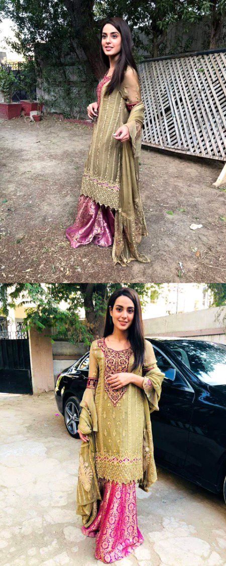 Pakistani Celebs image