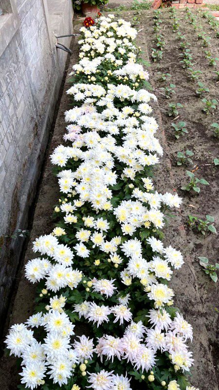 Beautiful Nature image