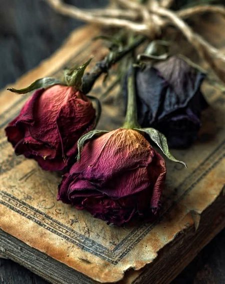 لٹے اب تک نہ کیوں اسباب میرے
بہت بے تاب ہیں بے تاب میرے
مری نیندوں میں جھانکا جا رہا ہے
چرائے جا رہے ہیں خواب میرے