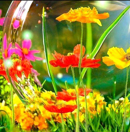 Beautiful Nature image
