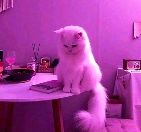 ..Feelings..
...Wo Insan Apki Qemat Kubi Nhi Smjega... Jis K Liye Ap Har Wqat Available Hon..