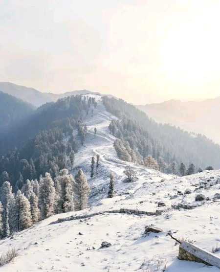 Beautiful Nature image