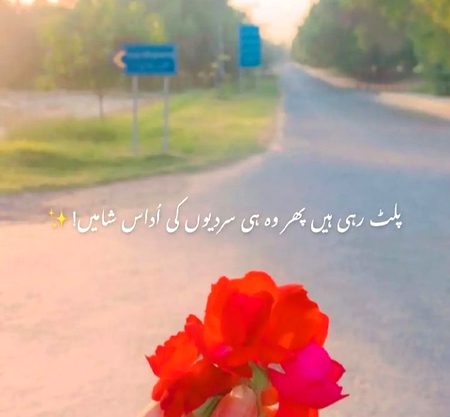 Aty chly jaty ajnabi bn kr🥀🥀