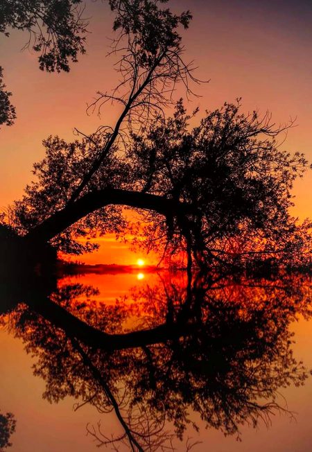 Beautiful Nature image