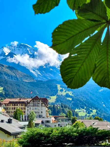 Beautiful Nature image