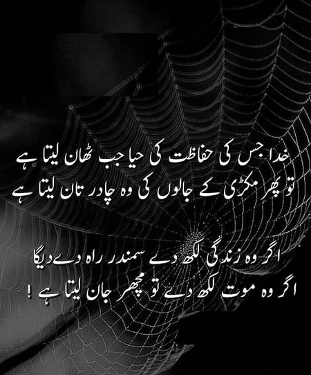 Islamic Quotes image