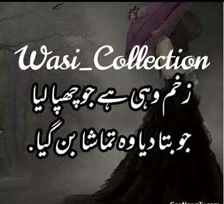 Wasi_Collection