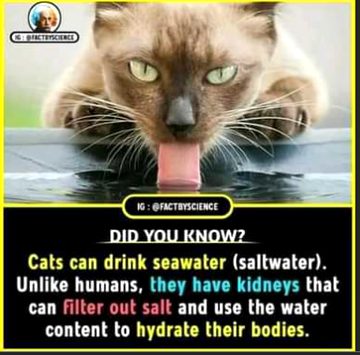 Interesting Posts image