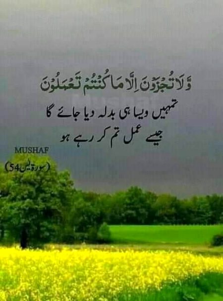 Islamic Quotes image