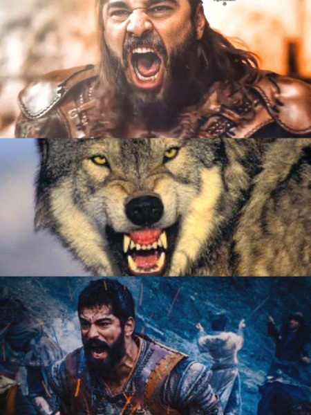 Turkish Celebs image