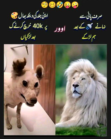 Memes & Satire image