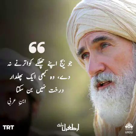 Life Advice image