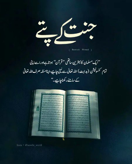 Romantic Novels image