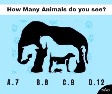 Riddles & Puzzles image