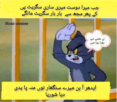 Memes & Satire image