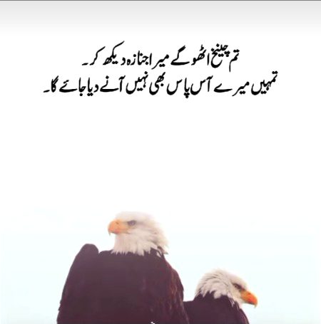 Attitude Poetry image