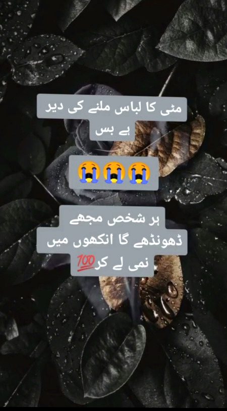 Hr jgh mehsoos ho gi hmari hi kami.
Apni mhfil ko jitna bhi saja kr dkh lo 🖤🖤🖤🥀