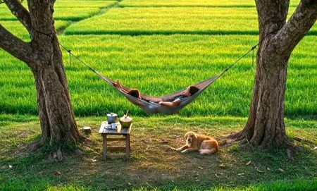 لمبی امیدوں سے دور رہا کرو، کیونکہ وہ تمہارے پاس موجود نعمتوں کو حقیر بنا دیتی ہیں...!!🖤