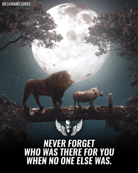 Life Advice image
