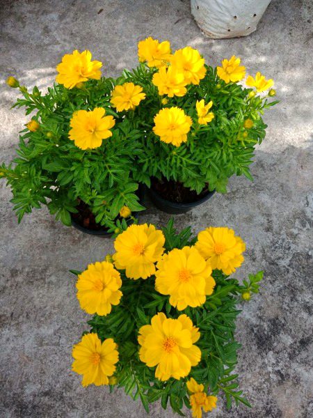 Beautiful Nature image