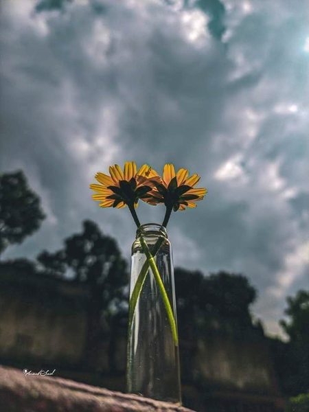 Beautiful Nature image